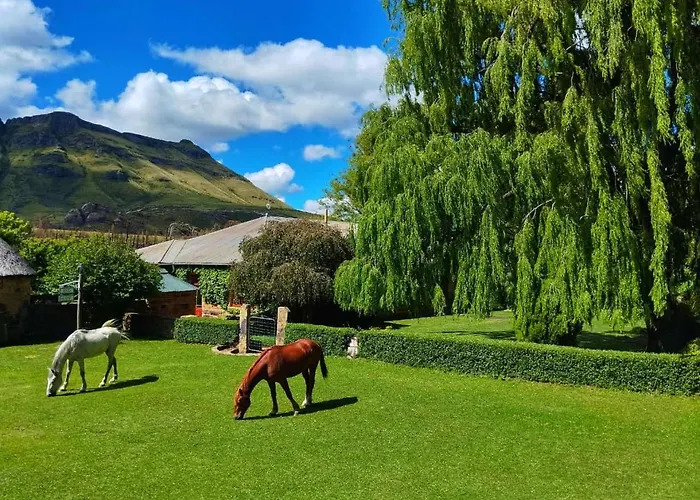 Glengyle Guest Farm